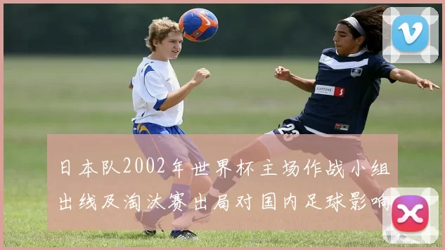 日本队2002年世界杯主场作战小组出线及淘汰赛出局对国内足球影响