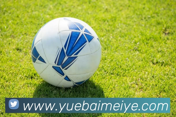 贝博app体育登录入口(中国)唯一官方网站品牌故事